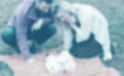 ���ġ��o�ְ֋����ĸ��x�š�