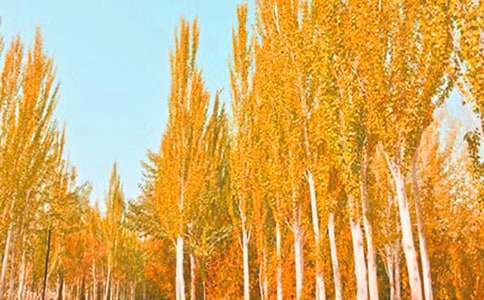 �ח��n�ĵĽ̌W��˼