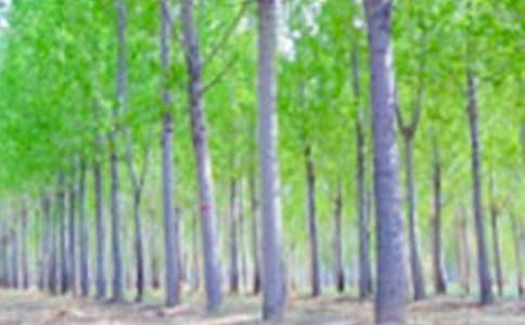 ���ח�Yٝ���u�n�壨ͨ��14ƪ��