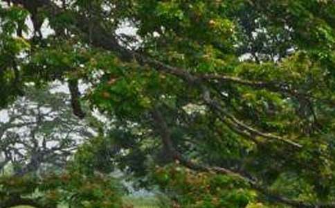 �n�İח�̌W����OӋ