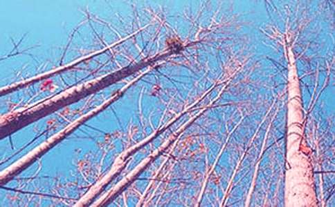 �ח�Yٝ���x���