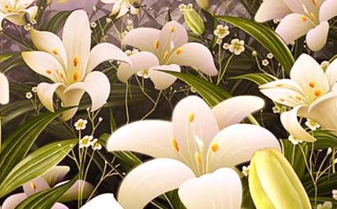 �����ϵİٺϻ���x��