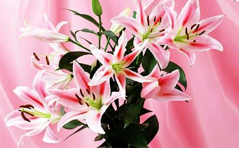 �������ϵİٺϻ����x���15ƪ