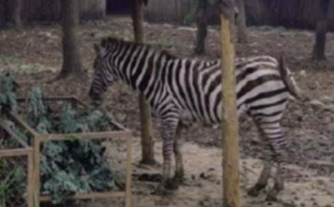 �Y׌���R�����ļ��ϣ�9ƪ��