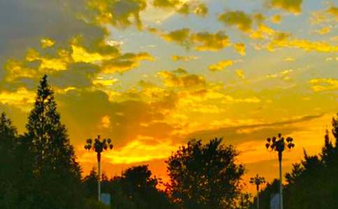 ����r������