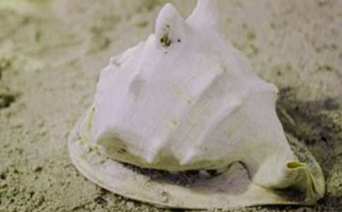 �P(gu��n)��ؐ������