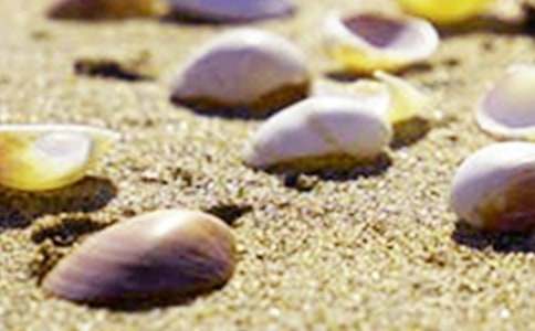 ؐ������������