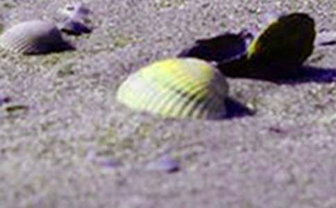 ��ؐ������