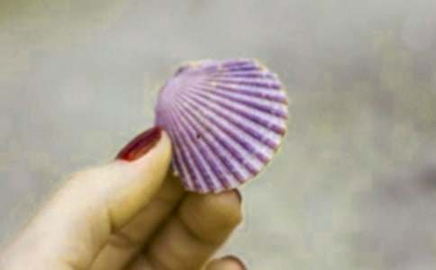 ��Сؐ������(y��u)��̌W(xu��)��(sh��)�