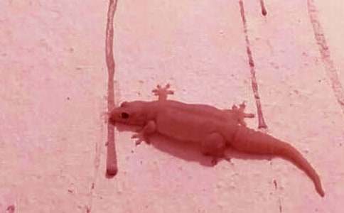 ��С�ڻ���β�͡��u�n��ͨ��8ƪ