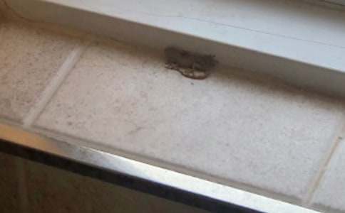 ��С�ڻ���β�͡��Ľ̌W(xu��)��䛷���