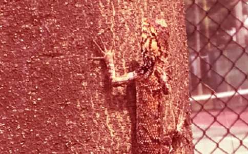 ��С�ڻ���β�͡��u�n��8ƪ