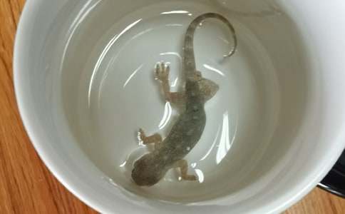 С�ڻ���β�ͽ̌W(xu��)�O(sh��)Ӌ(j��)�ڶ��n�r(sh��)