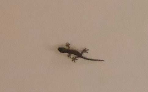 ��С�ڻ���β�͡��̌W�OӋģ��