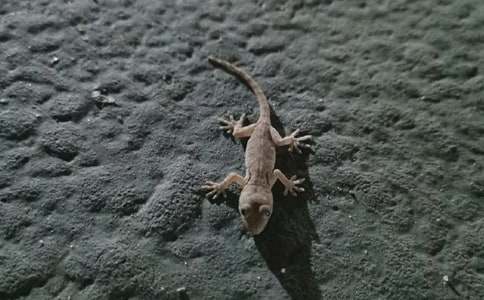 С�ڻ���β�ͽ̌W(xu��)�O(sh��)Ӌ(j��)15ƪ