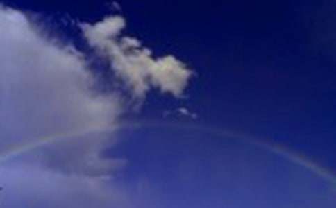 �����ʺ����ģ���Ʒ8ƪ��