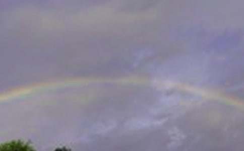 �����ʺ������\����ƪ