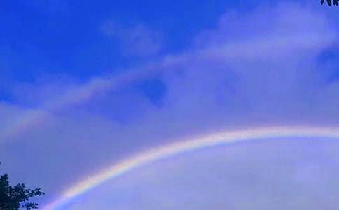 �P(gu��n)�������ʺ�����8ƪ