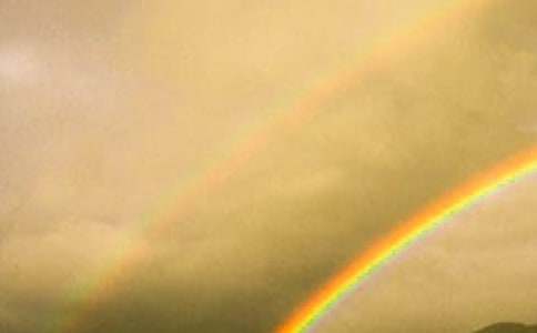 �Ϸʾ��|���Ͳʺ��{(l��n)���Ă�(g��)�����ã�