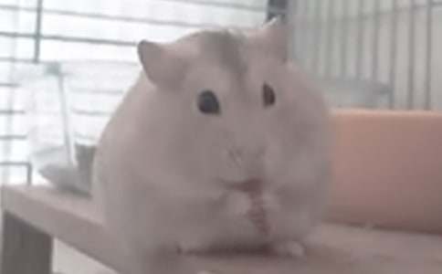 �}(c��ng)��(y��u)������15ƪ[���A]