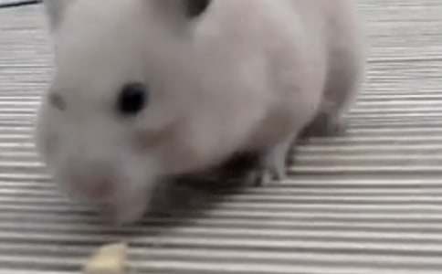 �}��С�W(xu��)����