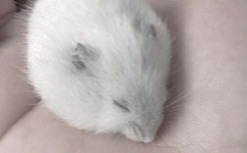 �ɐ۵Ă}������