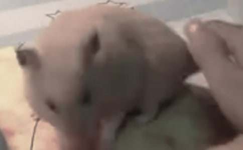 �}�������ͨ�ã�28ƪ��