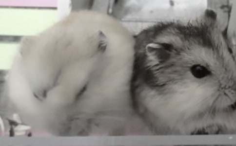 �ҵČ���}(c��ng)������