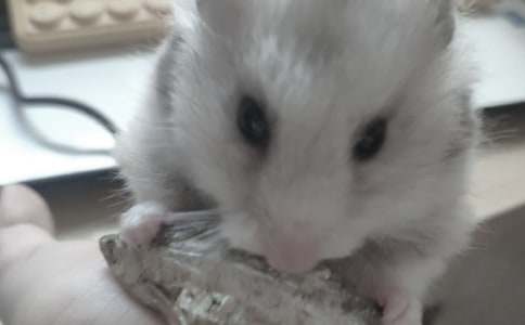 С���� �}�������