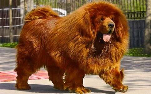 �P(gu��n)�ڲ��������