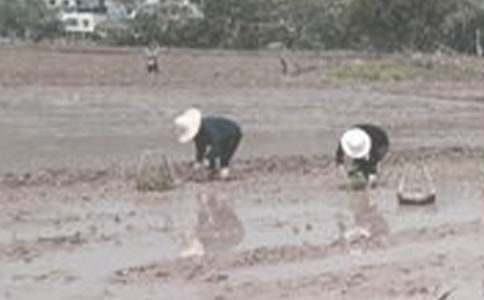 ������衶�������n��˼