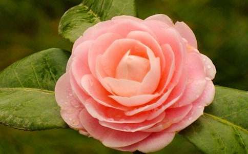 �軨���B(y��ng)ֳ������ע���������Щ