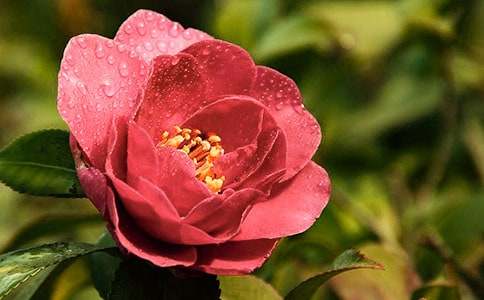 ���]���軨������