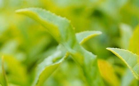 ��(chu��ng)�I(y��)���~���˵���ι����ܷ�ֹ���ʧ