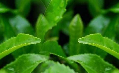 ���P(gu��n)���~������300����ƪ