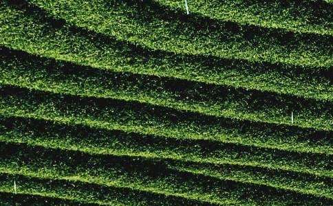 ���~��ُ�ĺ�ͬ��ͨ��10ƪ��