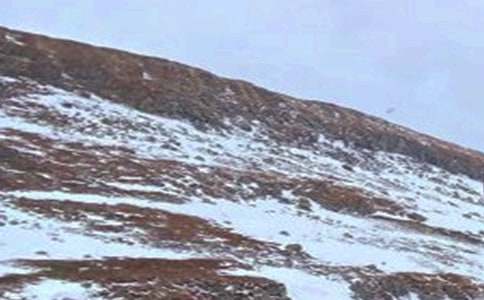 ���L��ɽ����