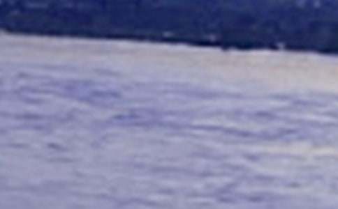 ���L����̖���^���