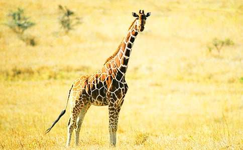 ������g(sh��)���(d��ng):���L�i¹�Ļ����ѡ��̌W(xu��)��˼����