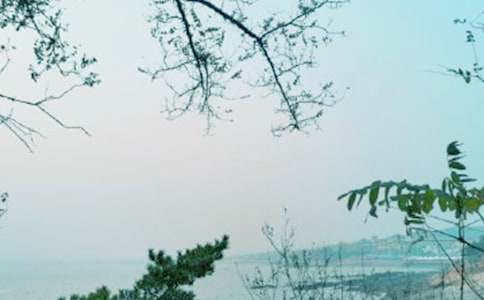 ���L(f��ng)��������