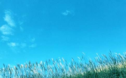 �������vԒ���P�ഺ�L(f��ng)�ɣ������ÌW(xu��)��