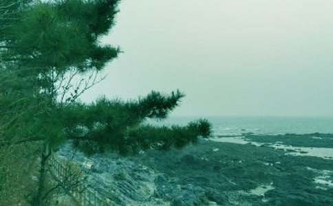 �{(di��o)Ƥ�Ĵ��L(f��ng)����