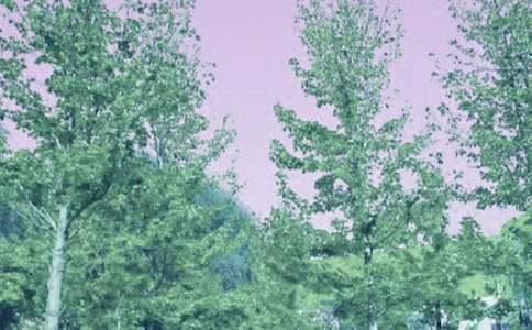 Ц���L(f��ng)����