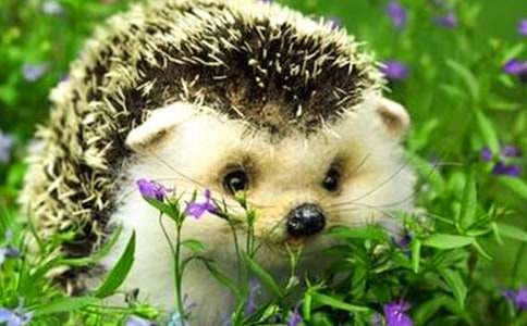 ��⬽̌W(xu��)�O(sh��)Ӌ