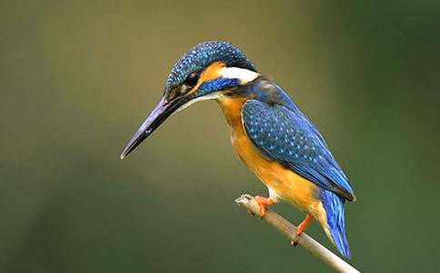 ���꼉(j��)�����B���̌W(xu��)�O(sh��)Ӌ(j��)(10ƪ)