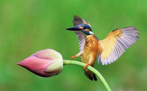 ��һ�n�r�����B���̌W�O(sh��)Ӌ