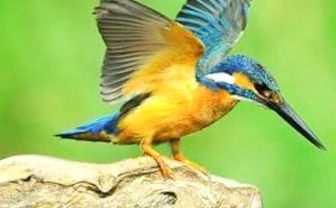 �����B���̌W(xu��)�O(sh��)Ӌ(j��)