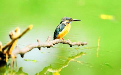 �����B���̌W�OӋ(15ƪ)