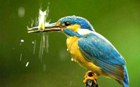 �����B���ڶ��n�r�̌W�OӋ