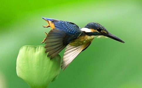 �n�ġ����B���̌W����